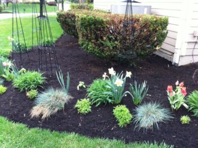 March Vegetable Garden Planner Image